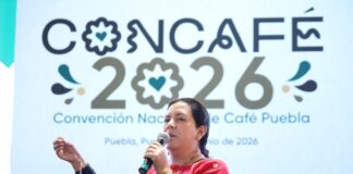 Gobierno estatal consolida la CONCAFÉ 2026 como referente nacional de apoyo a productores