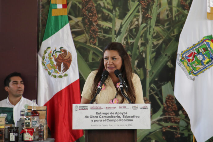 guadalupe-lucero-barcenas-711327-6a42bd61150f5