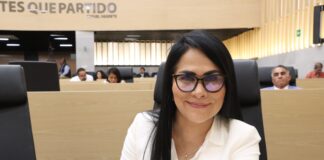 Plantea diputada Fedrha Suriano reconocer a víctimas de daños ambientales