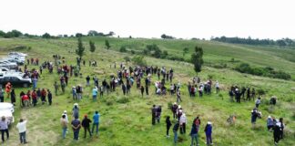 Impulsa Tonantzin Fernández acciones permanentes de reforestación en el Cerro Zapotecas