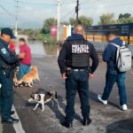 Cuerpos de seguridad y emergencias mantienen búsqueda de Policía Municipal desaparecido tras las lluvias