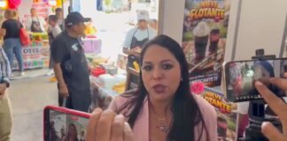 Tonantzin Fernández impulsa programa para prevenir accidentes por bardas dañadas
