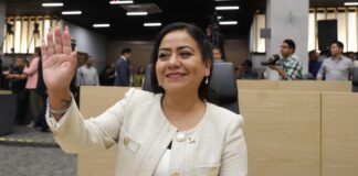 Diputada Celia Bonaga propone reforma para garantizar la procedencia legal de productos forestales
