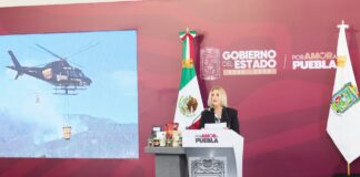 Gobierno estatal reduce 55% la superficie afectada por incendios forestales