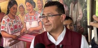 Suspensión temporal partidista no afecta representación de diputadas en la LXII Legislatura: Pável Gaspar