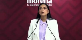 Líder nacional de Morena plantea sanción a Salvatori y Palomares