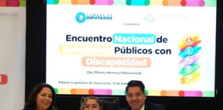 Impulsa Soledad Amieva la inclusión de las personas con discapacidad desde la Cámara de Diputados