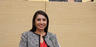 Promueve diputada Angélica Alvarado iniciativa para fortalecer la prevención y atención de la violencia contra las mujeres