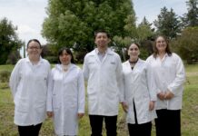 BUAP le entra a la batalla contra el gusano barrenador con nanotecnología