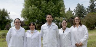 BUAP le entra a la batalla contra el gusano barrenador con nanotecnología