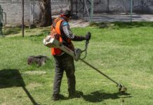 Mantiene Pepe Chedraui poda y chapeo en parques y áreas verdes
