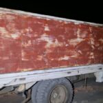 Recupera Policía Estatal 165 ejemplares de oyamel