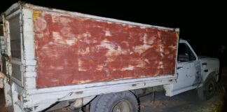 Recupera Policía Estatal 165 ejemplares de oyamel