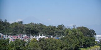 Van por rescate de bosques en Puebla: reforestarán 2 mil hectáreas