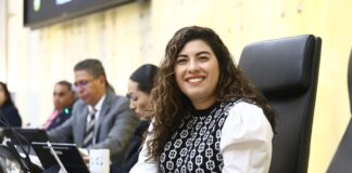 Promueve diputada Xel Arianna Hernández iniciativas para fortalecer la protección de la niñez contra la violencia vicaria
