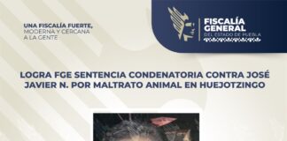 Logra FGE sentencia condenatoria contra José Javier N. por maltrato animal en Huejotzingo