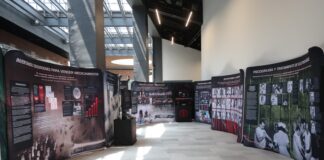Impulsa diputada Celia Bonaga exhibición audiovisual sobre derechos humanos y salud mental