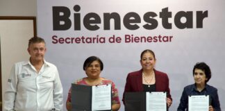 Coinversión Social une voluntades y fortalece asociaciones civiles: Laura Artemisa
