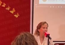 11 años buscando a Paulina: su historia se repite en más de 2 mil 700 desaparecidos en Puebla : Ibero
