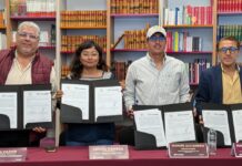 Gobierno de Pepe Chedraui impulsa la agricultura urbana y el rescate de espacios públicos