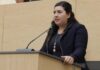 Propone Xel Arianna Hernández iniciativa para suspender licencias de conducir a deudores alimentarios morosos