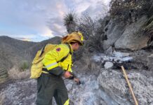 Fuego arrasa 12 hectáreas en Buenos Aires; siguen labores para sofocarlo