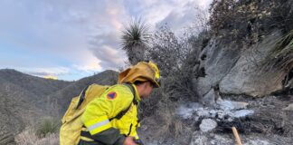 Fuego arrasa 12 hectáreas en Buenos Aires; siguen labores para sofocarlo