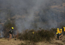 Puebla, entre los 10 estados con más incendios forestales del país