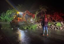 Afectaciones por lluvias en distintas regiones del estado