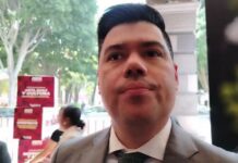 Respaldará PVEM a María Fernanda de la Barreda rumbo a 2027: Jimmy Natale