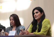 Propone la diputada Delfina Pozos asistencia consular para niñas, niños y adolescentes mexicanos en Estados Unidos